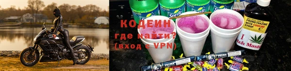 трава Ессентукская